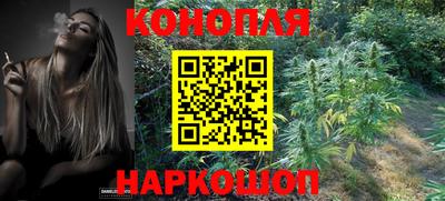 прущие грибы Заволжье