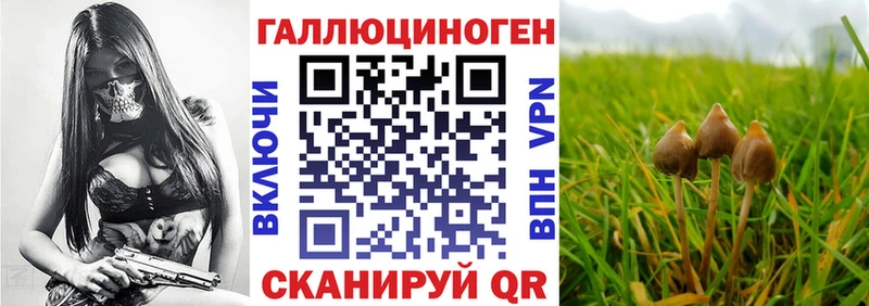 KRAKEN онион  магазин  наркотиков  Химки  Галлюциногенные грибы Cubensis 